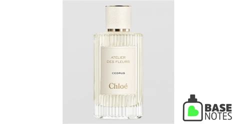 Chloé Cedrus Perfume Basenotes