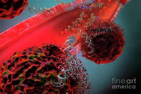 Circulating Tumor Dna Photograph By Ella Maru Studio Science Photo