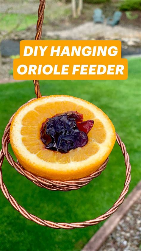 DIY HANGING ORIOLE FEEDER | Diy bird feeder, Bird feeders, Bird houses ...