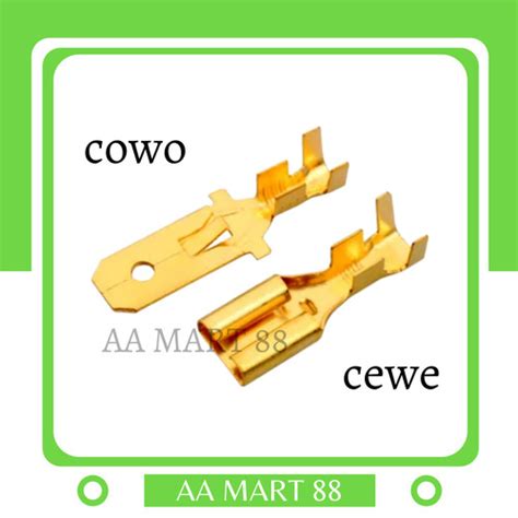 Jual Skun Skun Terminal Kabel Gepeng Cewe Dan Cowo Kuningan Besar Mm