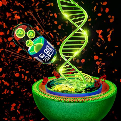 Pdf Transport Of Nucleoside Triphosphates Into Cells By Artificial