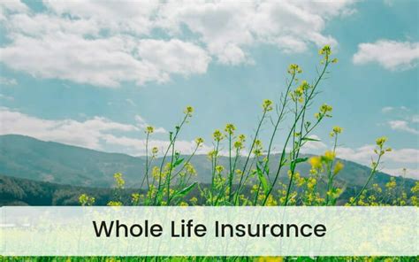 Whole Life Insurance - Best Quotes & Rates [Top 8 Companies!]