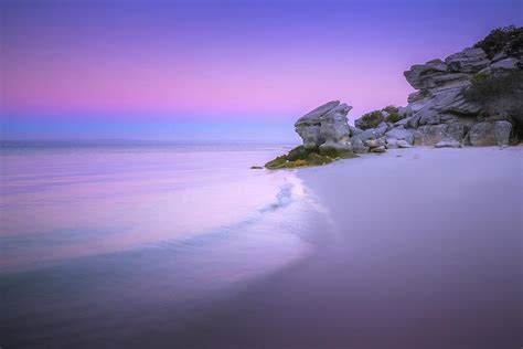 West Coast National Park Photograph by Chantelle Flores