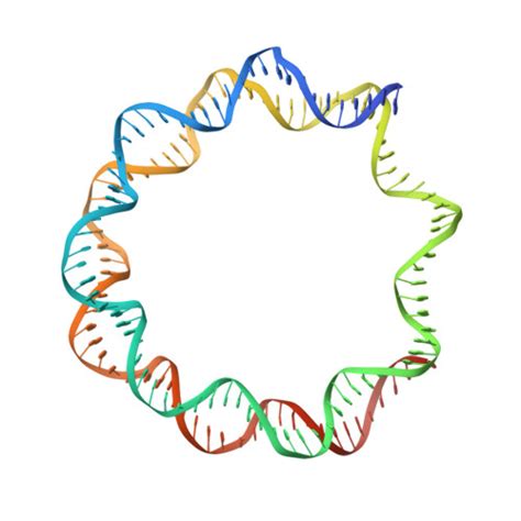 RCSB PDB 7U4D CryoEM Structure Of CENP N Promoted Nucleosome Stacks