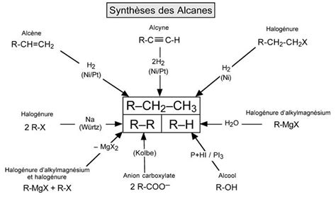 Réactions De Chimie Organique Chimie Organique Chimie Biochimie