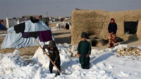 Warga Afghanistan Dan Ribu Ternak Tewas Kedinginan Saat Musim