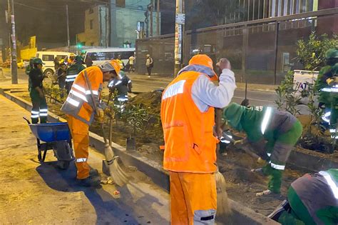 Municipalidad De Ate Realiza Trabajos De Mantenimiento De Áreas Verdes En La Berma De La