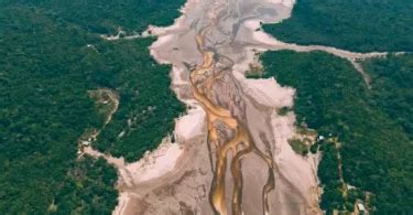 Pantanal Em Chamas Fogo Bate Recorde Mais Focos De Calor Do Que Em