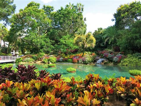 Unveiling The Beauty Of Botanica En Orlando Florida A Haven For Plant Enthusiasts