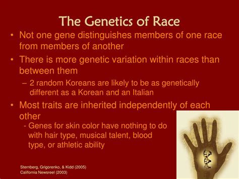 PPT - Race, Genetics, and Intelligence PowerPoint Presentation, free download - ID:2406104