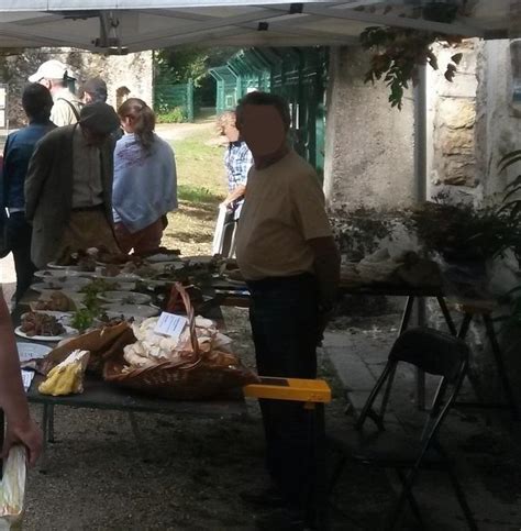 Exposition Visite découverte des mycologues à Sucy en Brie dimanche