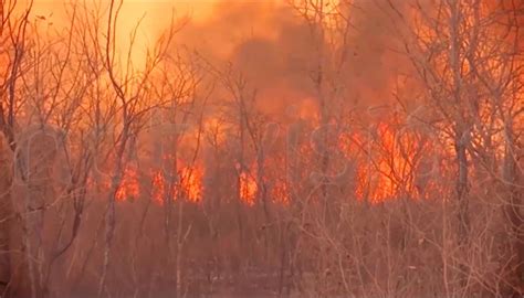 31 Incendios Activos En Santa Cruz El Más Grande En ‘el Choré Ejutv