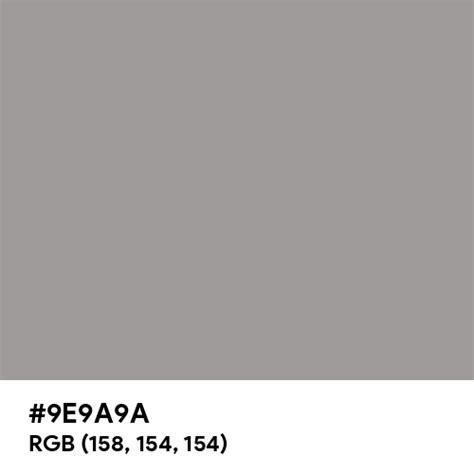 Warm Grey color hex code is #9E9A9A