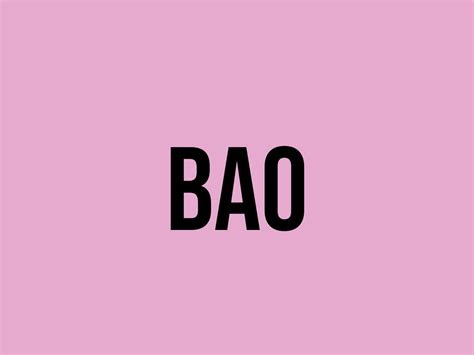 bao  meaning    fluentslang
