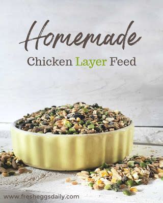 How To Make Homemade Whole Grain Chicken Feed Fresh Eggs Daily