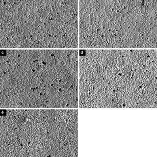 Sem Micrographs Of Specimens Sintered At C During One Hour A