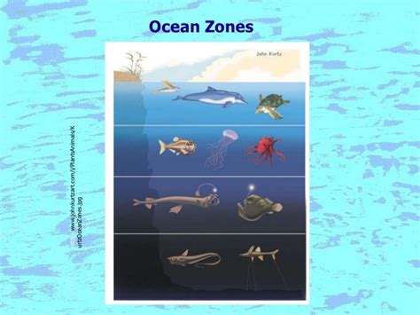 Ocean Notes A Comprehensive Study On Different Ocean Zones Includin