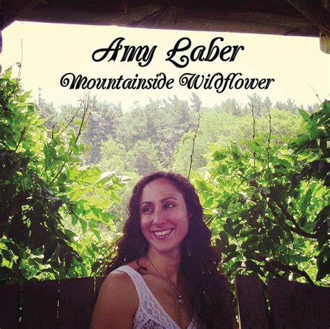 Amy Laber Concert Tour History Concert Archives