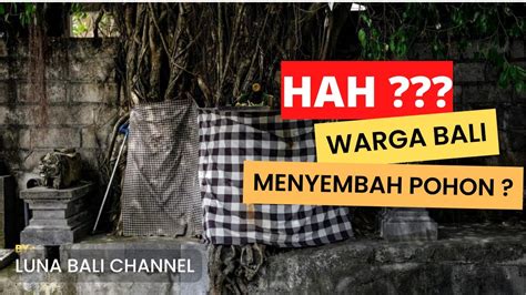 Makna Dan Tujuan Kain Poleng Di Pohon Dan Pura Bali YouTube