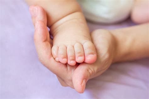 Pés Recém nascidos Do Bebê Nas Mãos Da Mãe Foto de Stock Imagem de