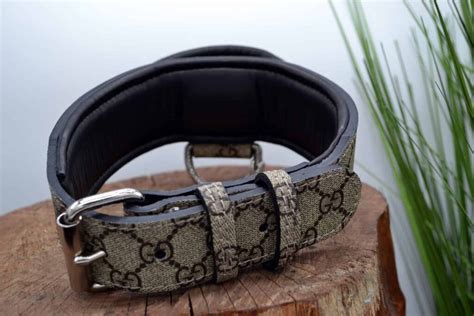 How to Choose the Perfect Gucci Dog Collar for Your Furry Friend - The Event Chronicle