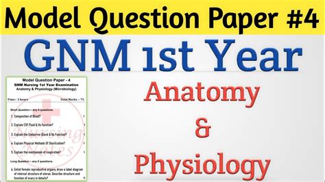 Anatomy And Physiology For Gnm St Year Modal Question Paper Anatomy