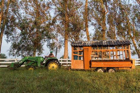 The Biggest Little Farm documentary is a must-see - Curbed LA