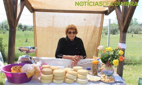 Falta De Pastores Coloca Em Risco Queijo Raba Al Not Cias De Coimbra