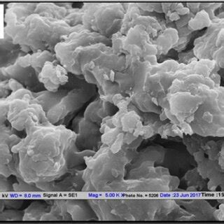 Sem Images Of A Katira Gum Hydrogel B Pani C Hydrogel Pani