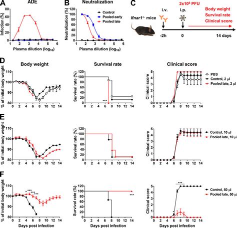 In A Lethal Infection Model Zikv Immune Plasma Samples Mediate Both Download Scientific