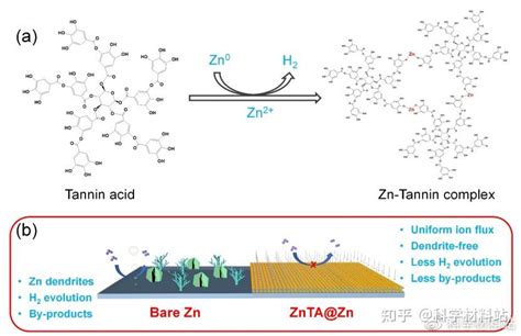 张鹏方博士、林展教授、张山青教授，nano Energy观点：锌 单宁酸配合物膜保护锌金属负极 知乎