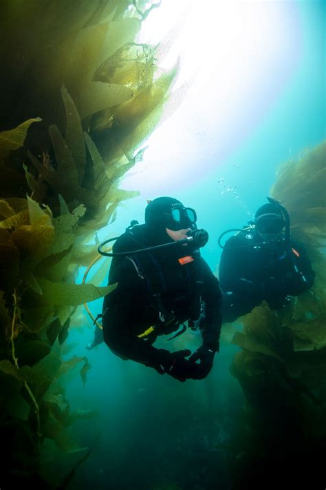 Padi Divemaster Course At Vancouver Diving Locker