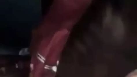 Sleepover Head Free Gay Big Cock Porn Video 34 XHamster