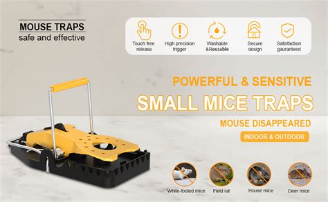 Amazon Icfpwr Mouse Trap Rat Traps Indoor Pack Small