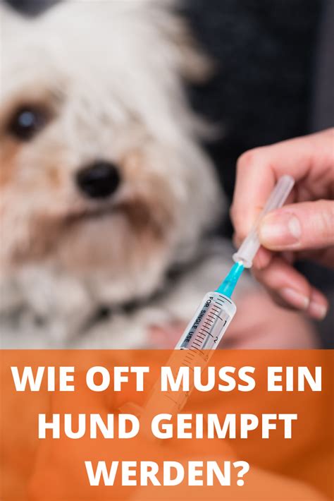 Pin Auf Hunde Medizin