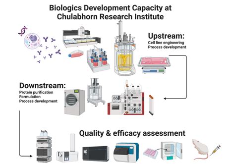 Biopharmaceutical drug development - Chulabhorn Research Institute