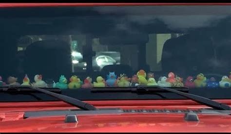 What's With All The Rubber Ducks On Wyoming Jeeps?