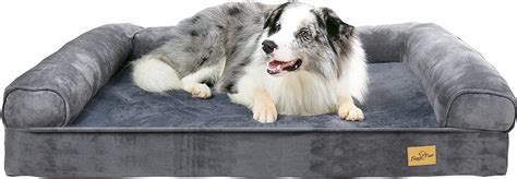 Review: BingoPaw Memory Foam Dog Bed with Bolster – Top Dog Tips