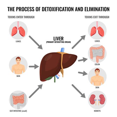 Medical Experts Explain How Coffee And Liver Detox Works Naturally - RYZE Superfoods
