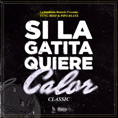 Yung Beef And Pipo Beatz Si La Gatita Quiere Calor Lyrics Genius Lyrics