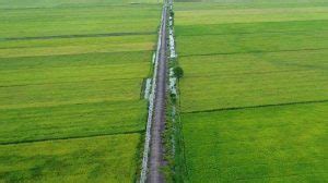 Terus Cetak Sawah Baru Kementan Siap Beri Bantuan Cianjur Liputan Co Id