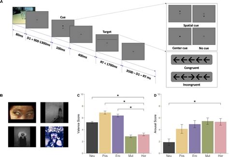 Electrophysiological Responses To Rapidly Presented Affective Stimuli