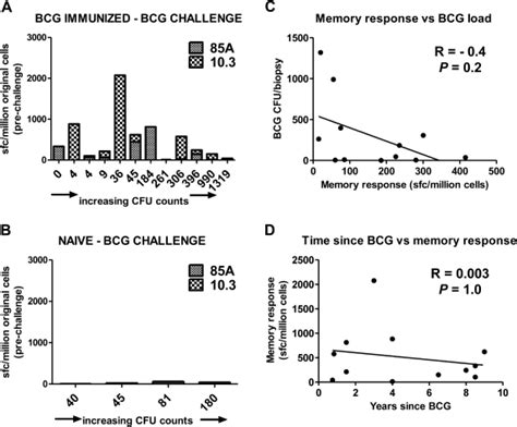 Prechallenge Cultured Enzyme Linked Immunospot Elispot Responses In