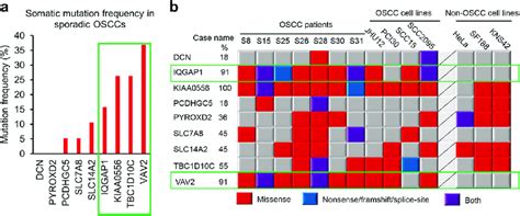 Mutation Frequencies Of The Familial OSCC Predisposition Genes In