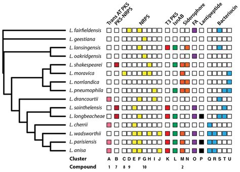 Legionella Shows A Diverse Secondary Metabolism Dependent On A Broad Spectrum Sfp Type