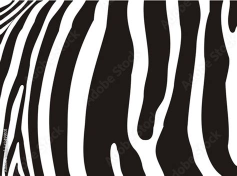 Magec Fatamor: how to draw zebra stripes