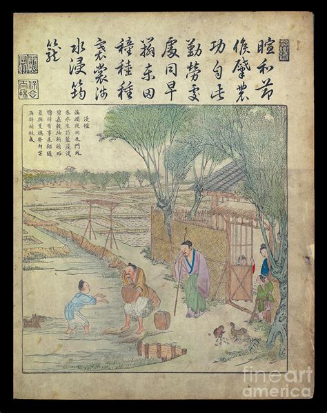 Rice Farming Ancient Chinese Art O Photograph By Historic