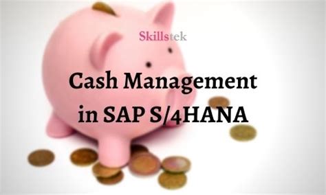 Cash Management In SAP S4 HANA Know What S New Skillstek