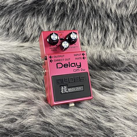 Boss Dm 2w Delay 技 Waza Craft（新品）【楽器検索デジマート】