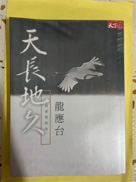 中文sba書 《天長地久 》給美君的信 龍應台 興趣及遊戲 書本 And 文具 小說 And 故事書 Carousell